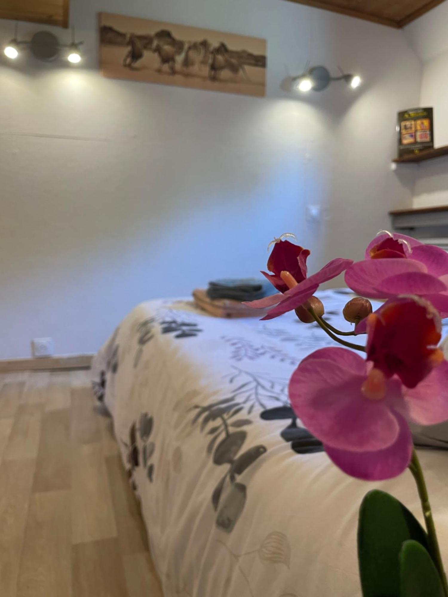 Peniche Le Pescalune - Chambre D'Hotes Arles Dış mekan fotoğraf